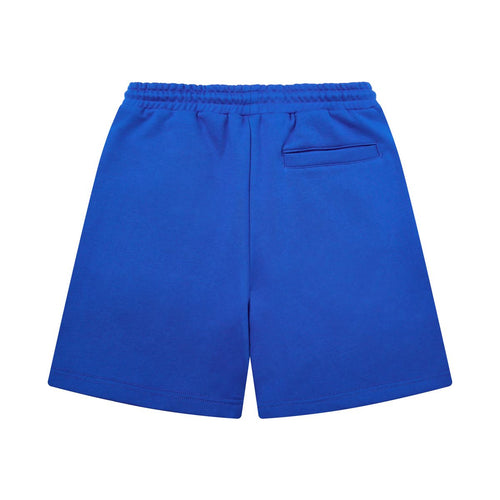 Campus Goods Flyer Shorts - Blue